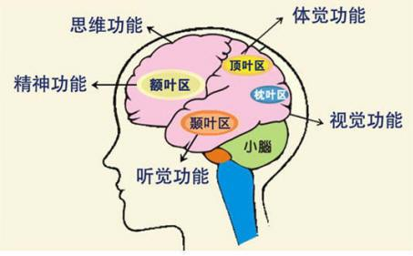 图片关键词