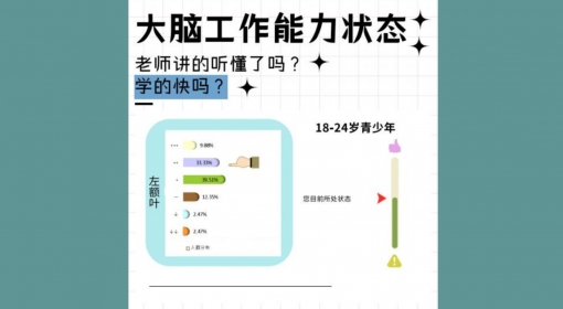 大脑工作能力状态（18-24）