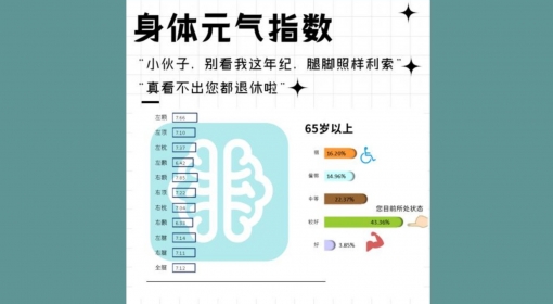 身体元气指数（65+）