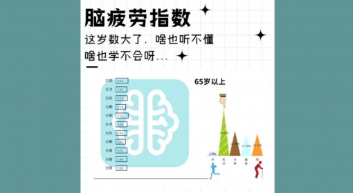 脑疲劳指数（65+）