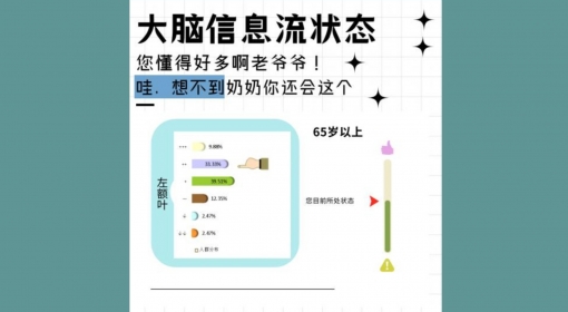 大脑信息流状态（65+）