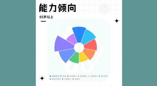 能力倾向（65+）