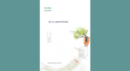 青少年心脑优势评估报告（13-24）