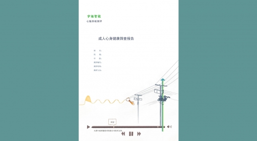 成人心身健康筛查报告（13-64）