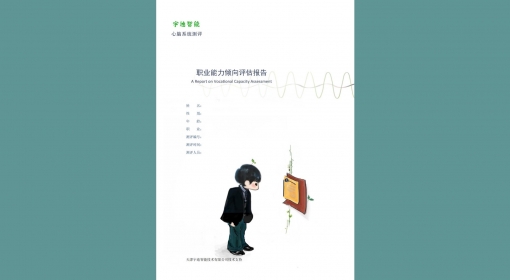 职业能力倾向评估报告（13-64）