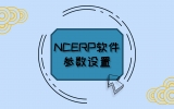 NCERP软件参数设置