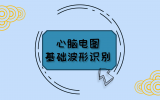 心脑电图基础波形识别